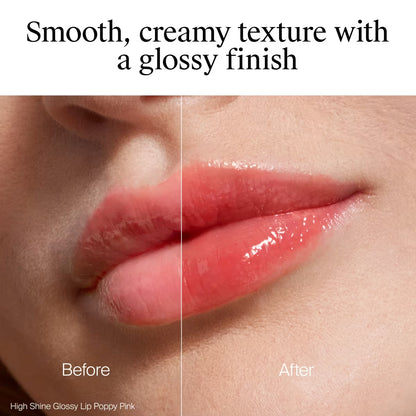 Neutrogena® High Shine Glossy Lip, Rose Petal, 0.07 Oz - US 8751